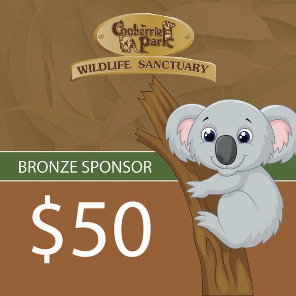 Bronze Sponsor - $50