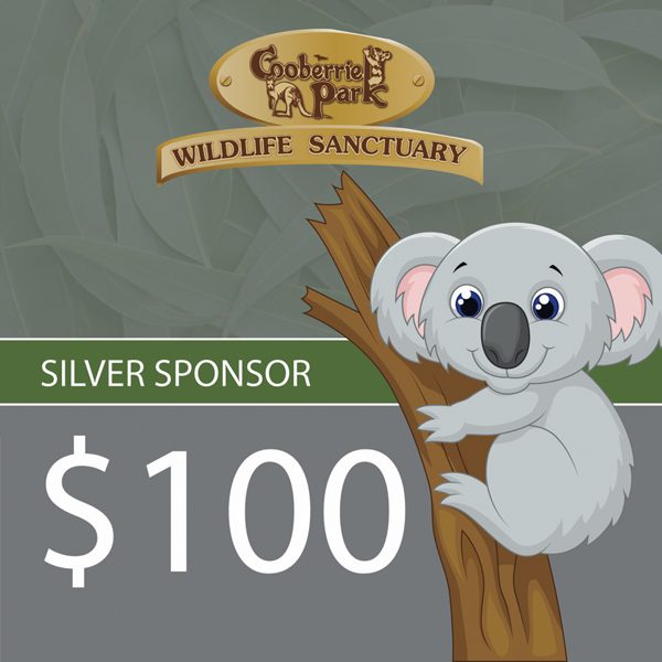 Silver Sponsor - $100