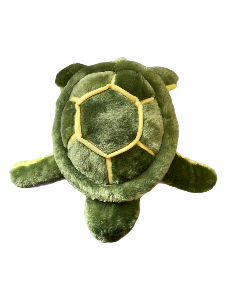 Green Turtle Plush Toy - Cooberrie Park Wildlife Sanctuary