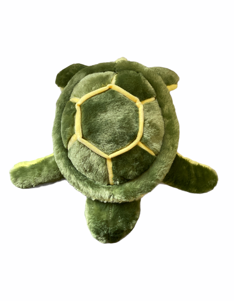 Green Turtle Plush Toy - Cooberrie Park Wildlife Sanctuary Green Turtle Plush Toy - Cooberrie Park Wildlife Sanctuary